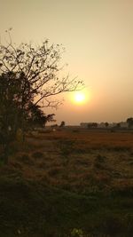 Scenic view of field against sky during sunset