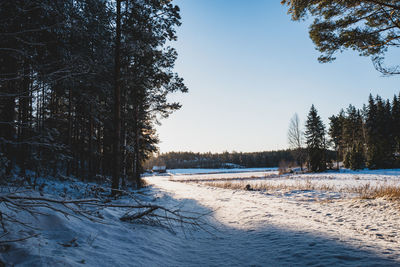 Scenic view of snow covered landscape