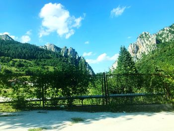 Scenic view of trees and mountains against sky