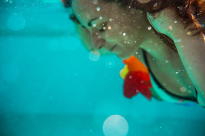 Close-up of jellyfish swimming in sea