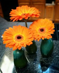 Close-up of orange dahlia