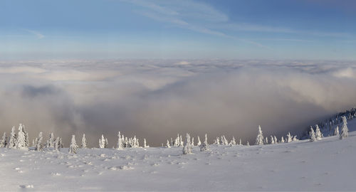 The beauty of winter on the snowy mountains. vladeasa mountains - romania