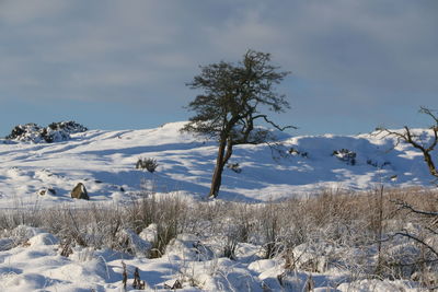Scenic view of snow covered field against sky