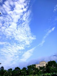 Low angle view of trees against blue sky