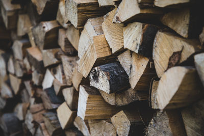 Full frame shot of logs in forest