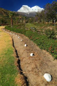 High angle view of road by field 