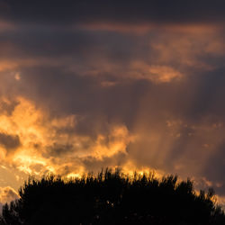 Low angle view of silhouette trees against dramatic sky