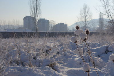 Snow covered field against sky