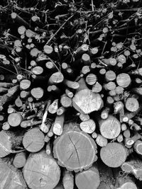 Full frame shot of logs in forest