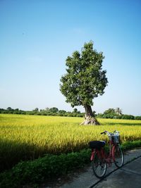 Bicycle parked on field against sky