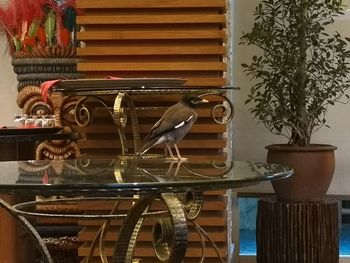 Close-up of chairs on table at home