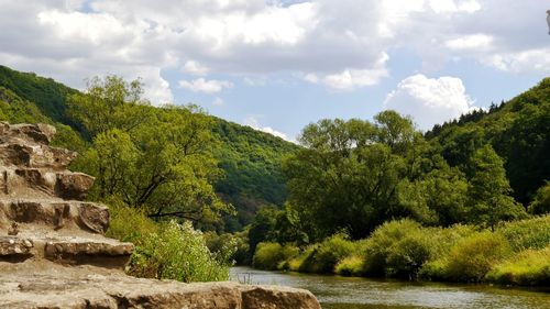 Scenic view of river by trees against sky