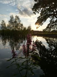 Scenic view of lake against sky during sunset