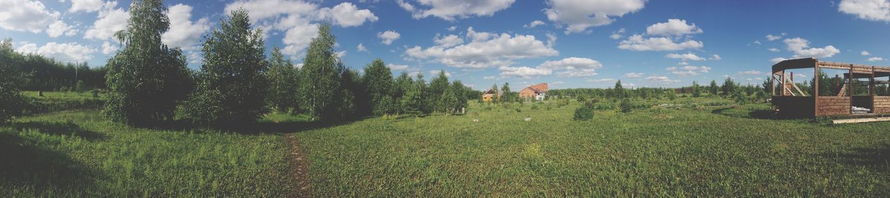 sky, grass, cloud - sky, field, tree, cloud, growth, landscape, tranquility, tranquil scene, nature, green color, beauty in nature, scenics, plant, grassy, day, panoramic, blue, fence