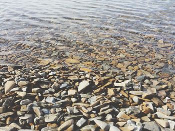 High angle view of pebbles at riverbank