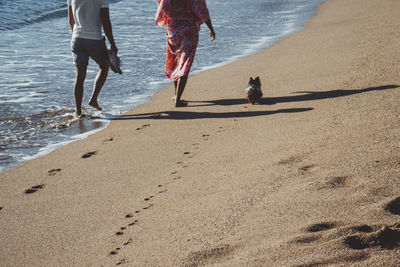Low section of people with dog walking at beach