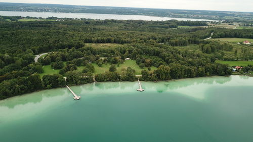 High angle view of sea and trees