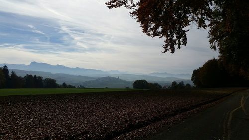 Road passing through field