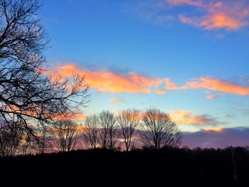 Low angle view of silhouette trees against sky