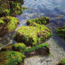 Stream flowing through rocks