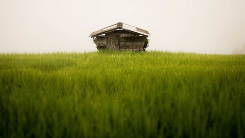 Barn on field against sky