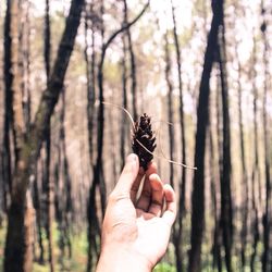 Close-up of hand holding tree trunk in forest