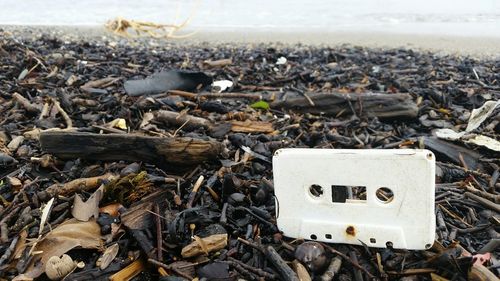 An old audio tape washed up on a beach 