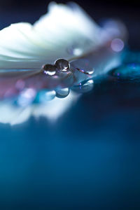 Close-up of water drop on blue glass