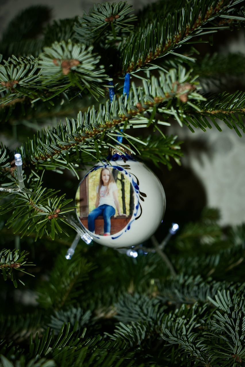 CLOSE-UP OF CHRISTMAS DECORATION ON TREE AT NIGHT
