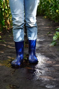 Low section of man standing in water