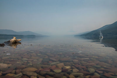 Scenic view of lake against clear sky