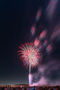 Low angle view of firework display at night