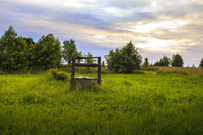 Horse grazing on field against sky