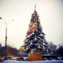 Illuminated christmas tree at night