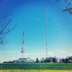 Trees on grassy field against blue sky