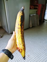 Low section of person holding bread on floor