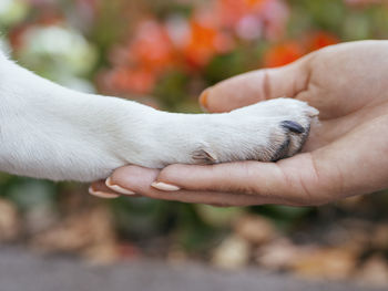 Close-up of hand holding hands