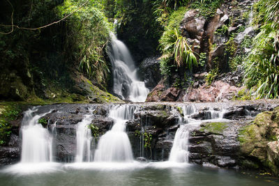 Scenic view of waterfall in forest