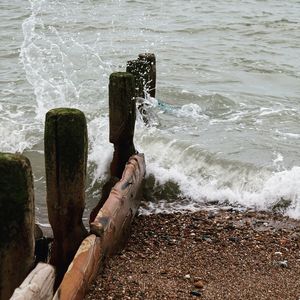 Low section of man on beach