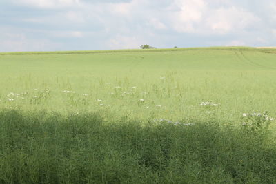 Scenic view of field against cloudy sky