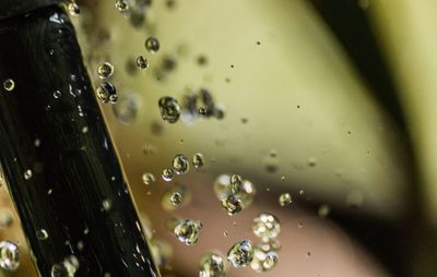 Close-up of wet glass window