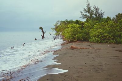 People on beach against sky