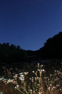 Scenic view of field against sky at night