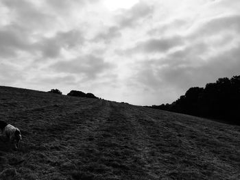 Scenic view of landscape against cloudy sky