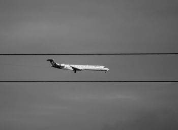 Low angle view of airplane flying in sky