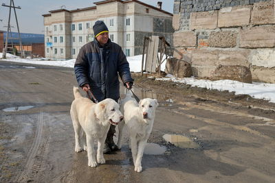 A laughing man is holding puppies on a leash.