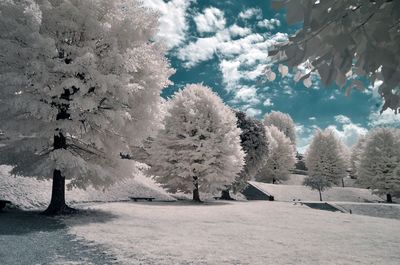 Scenic view of snow covered land against sky