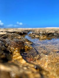 Close-up of rocks on beach against clear blue sky