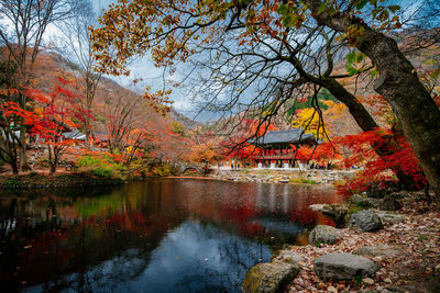 View of autumn trees in a lake