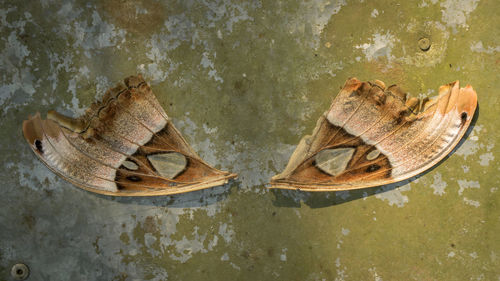 High angle view of old shoes by sea